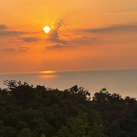 B&B Ereprijs Гаага Экстерьер фото