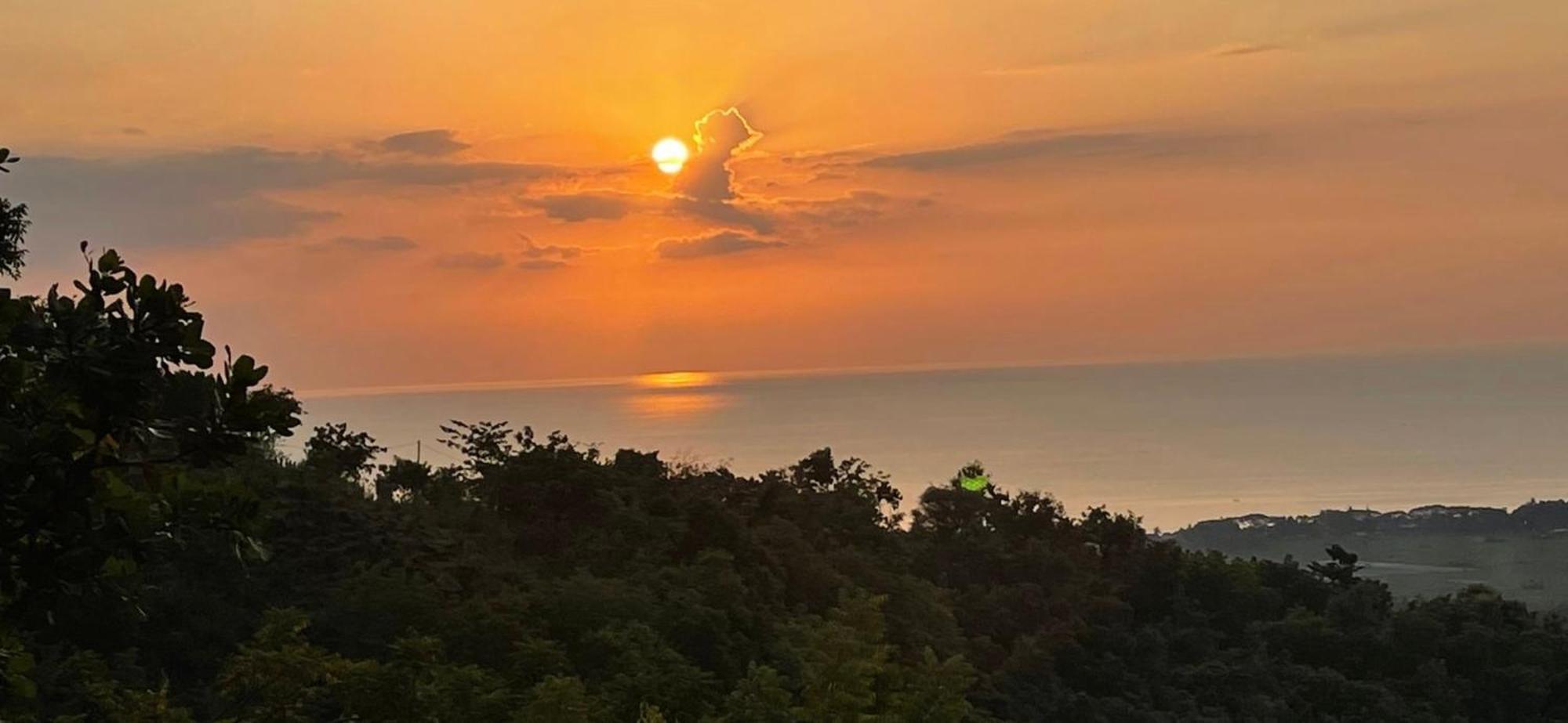 B&B Ereprijs Гаага Экстерьер фото