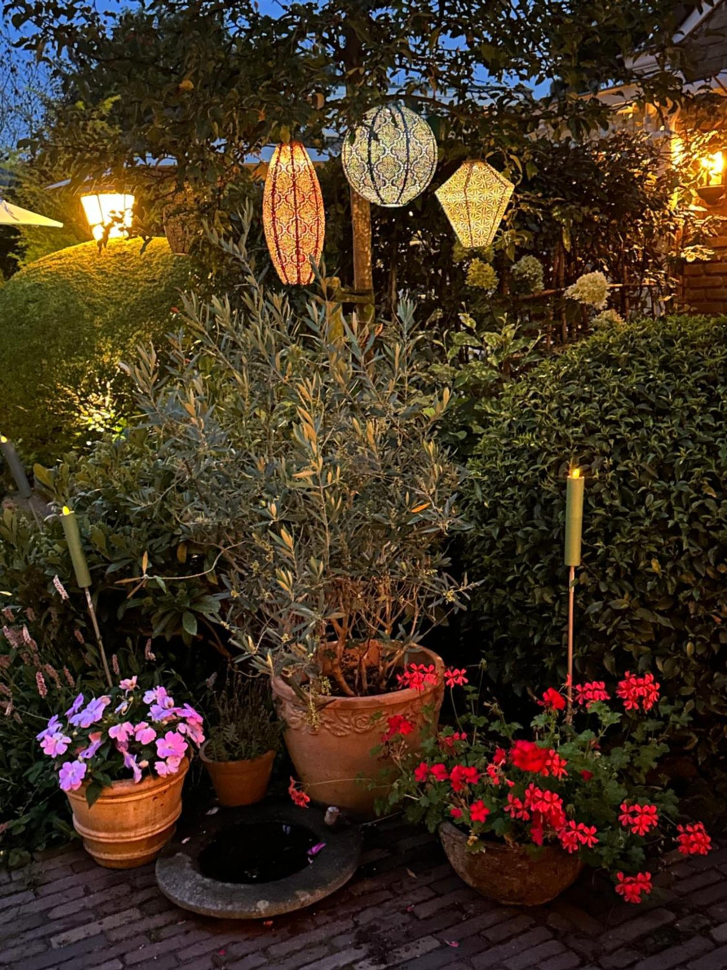 B&B Ereprijs Гаага Экстерьер фото